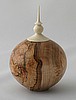 Spalted Maple with Holly finial