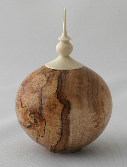 Spalted Maple with Holly finial