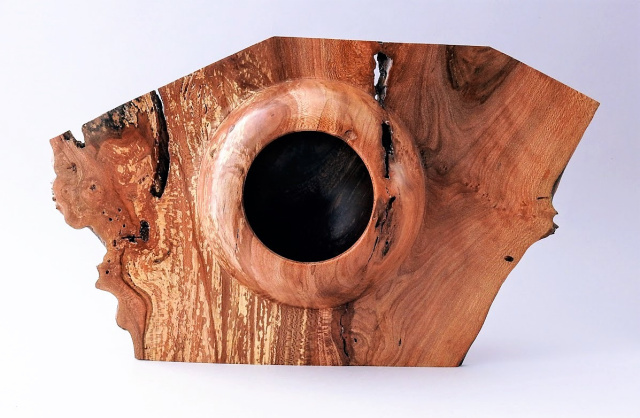 Spalted Apple